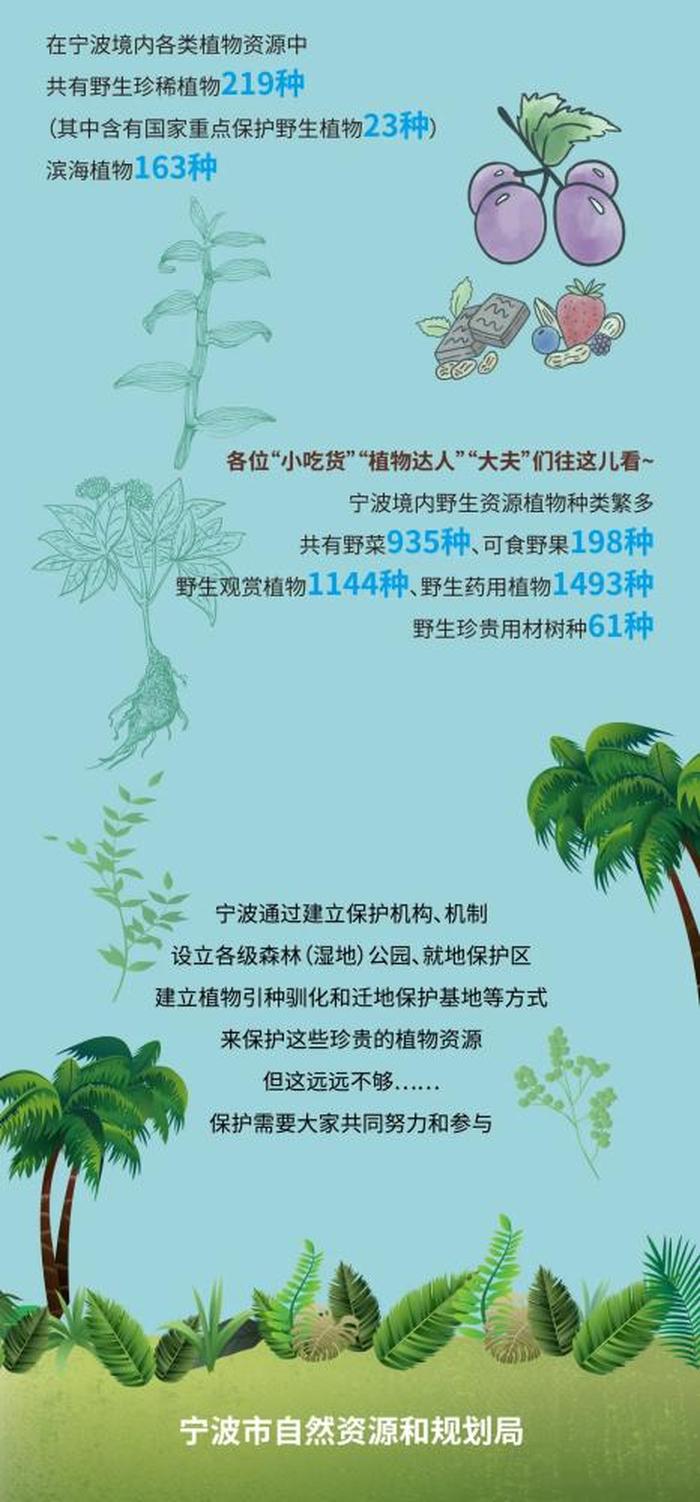科学知识科普植物 - 了解植物的有关知识