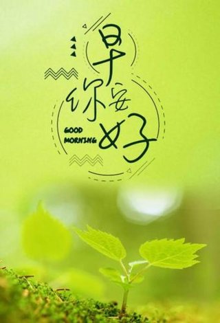 养生短语每日一条 保养好自己的身体优美句子