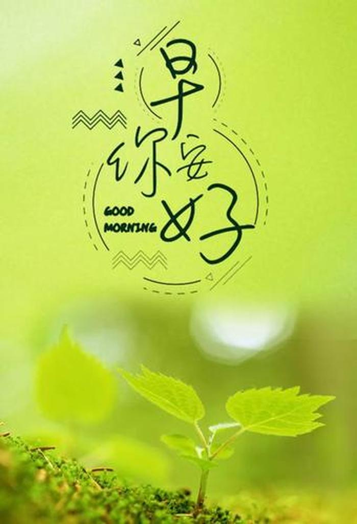 养生短语每日一条 保养好自己的身体优美句子