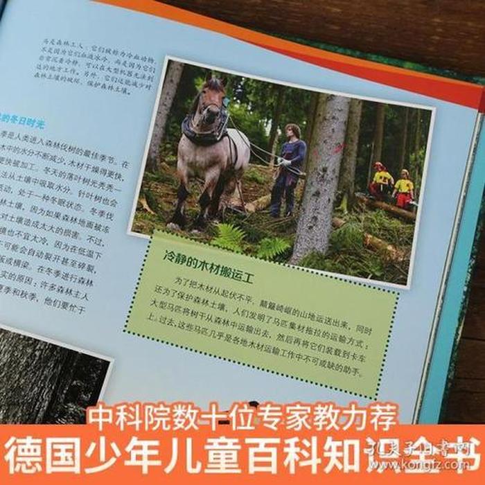 小学生科普文章有哪些；小学生必看的科普书籍