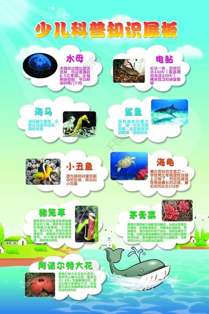 趣味科普知识长视频 科普知识短视频