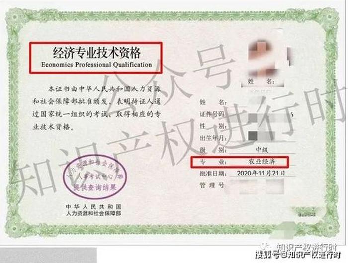 2021年知识产权师报名时间 - 知识产权师是干嘛的