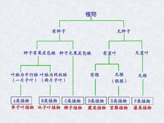 动植物知识举例说明 - 即是动物又是植物的生物
