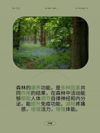 每日必学网；每日一学 内容