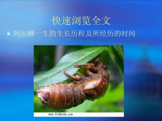 有哪些蝉的自然科学常识、关于蝉的信息
