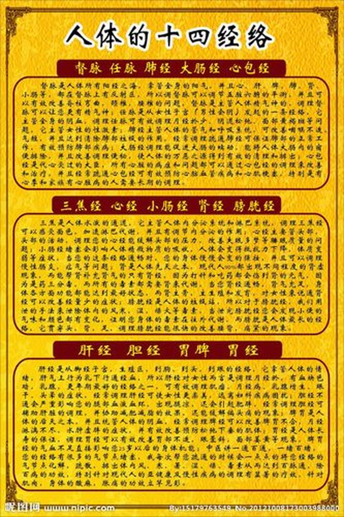 养生健康小知识经络，经络包括