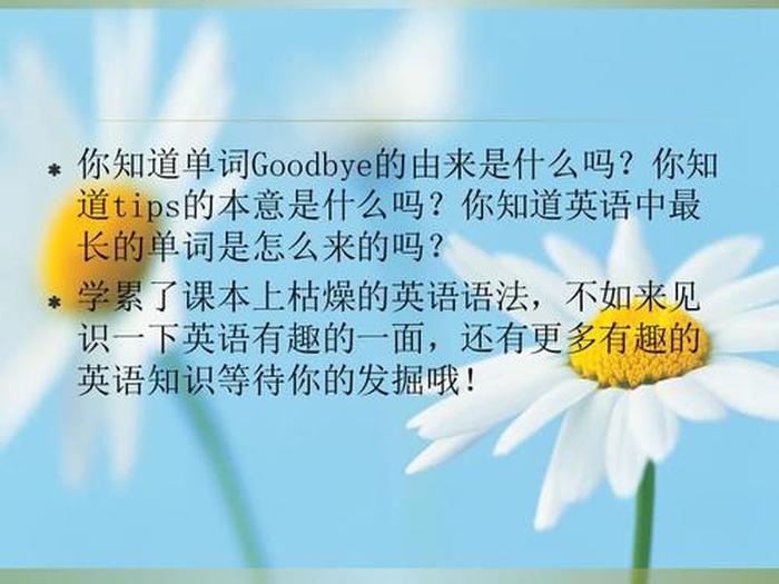 每天学些小知识的英文、实用的英语小知识