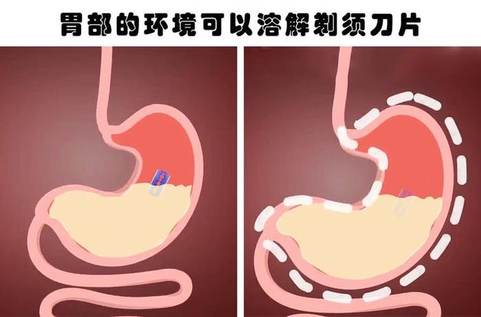 人体冷知识都有哪些？ 关于人体的生物冷知识