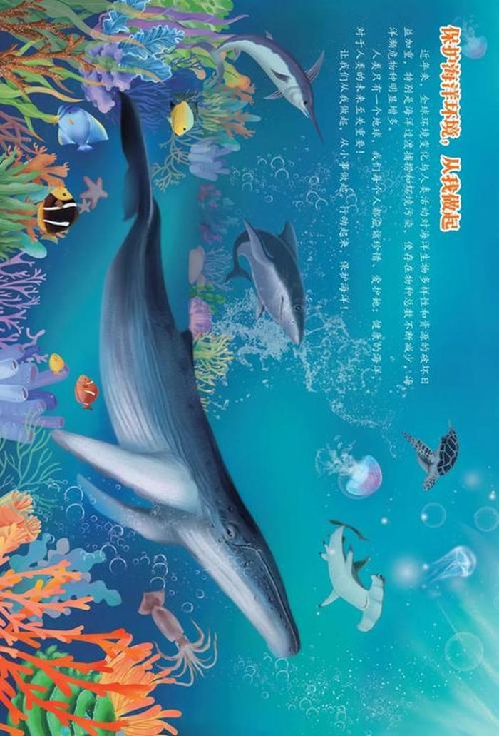 海豚知识科普幼儿 海豚有多少种