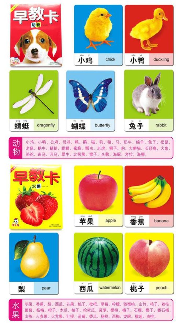 0到6个月婴儿早教知识、宝宝早教知识