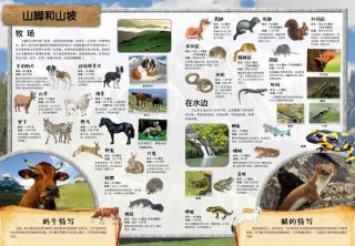 科普生活知识大全，手机知识科普大全