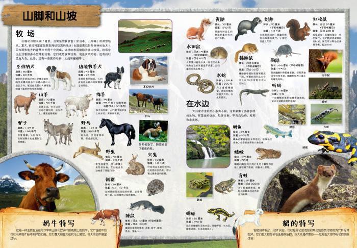 科普生活知识大全，手机知识科普大全