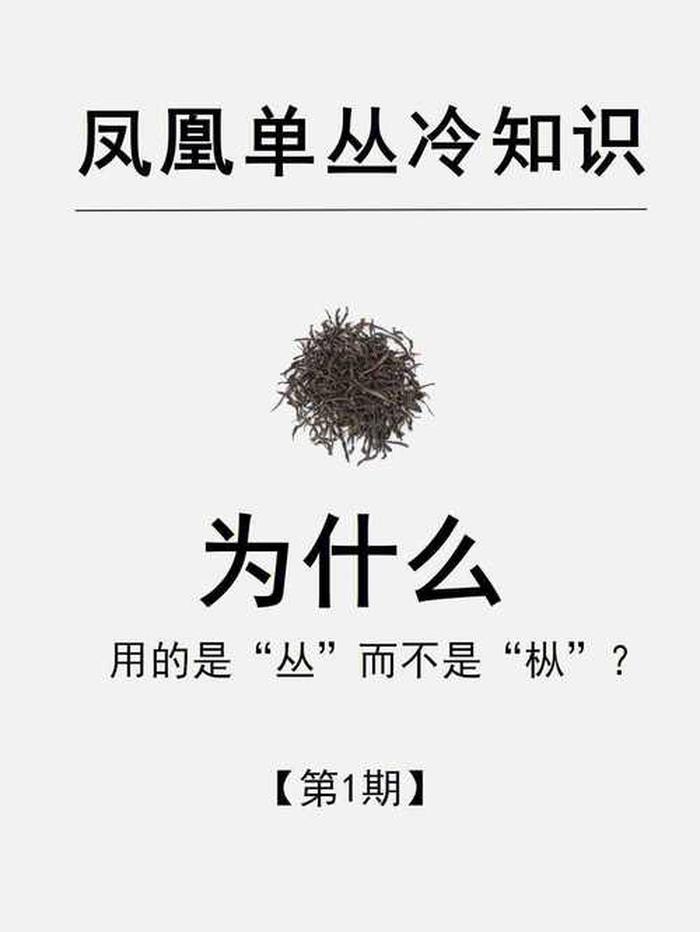 冷知识素材怎么来的、什么是冷知识