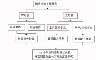 幼儿营养学基础知识 - 儿童营养学