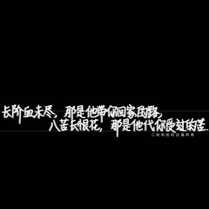 笑死人的小说文案、温柔文案