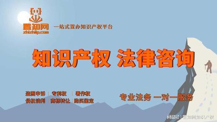 知识产权公司是什么公司；公司做知识产权是干嘛的