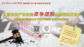 知识产权纠纷案例；法院十大典型案例