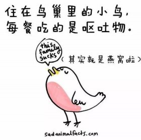 不为人知的冷知识合集百家号，一些很实用的冷知识