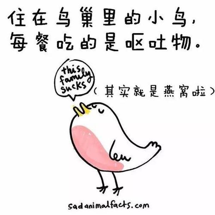 不为人知的冷知识合集百家号，一些很实用的冷知识