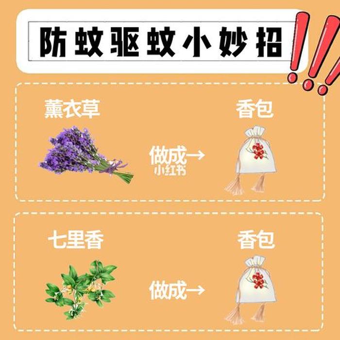 100个生活小妙招灭虫 快速睡眠小妙招