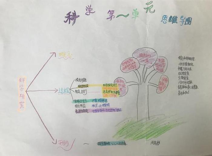 科学思维导图课外 - 科学思维导图图片