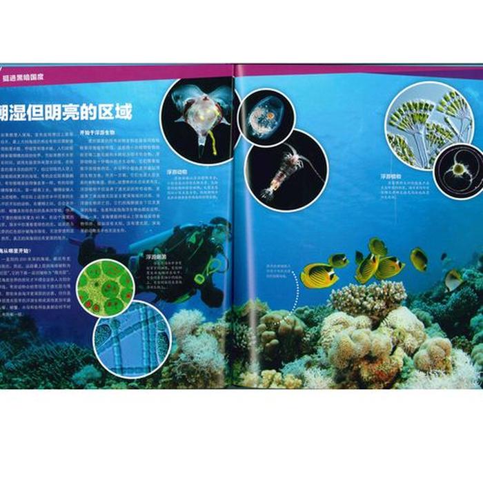 百科知识科普网、中国百科知识网