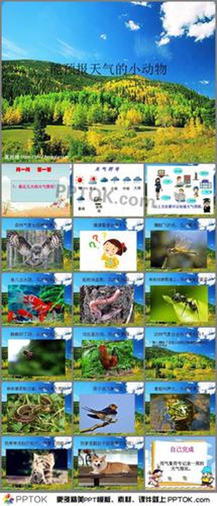 幼儿园的科学小知识，幼儿园大班科普小知识
