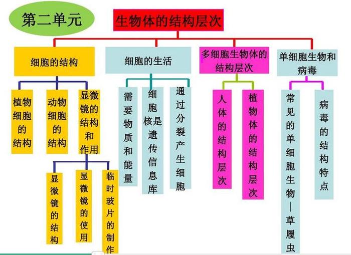 知识分为哪两大类 - 生物可以分为哪两大类