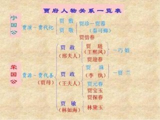 红楼梦文化常识总结，红楼梦贾府的兴衰过程