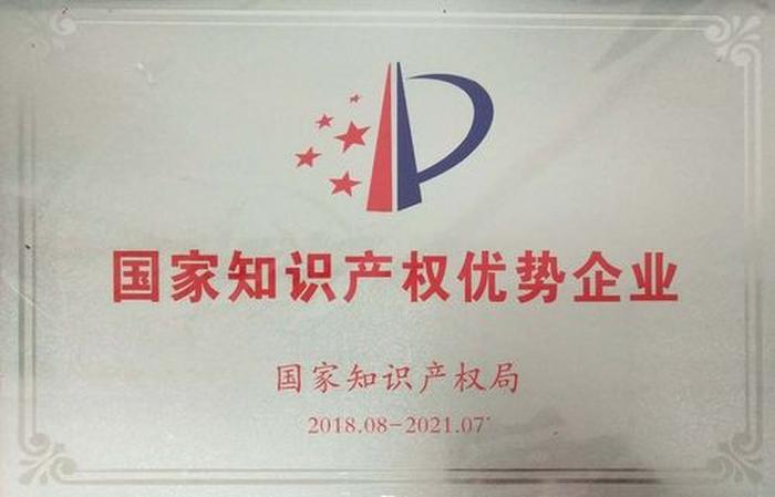 公司有知识产权是什么意思；知识产权公司