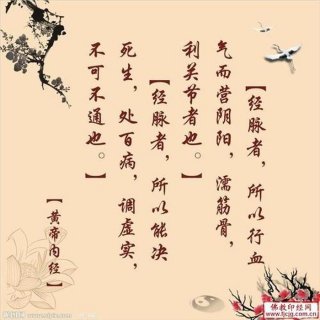 养生小知识每日一条人物图片；养生图片带字
