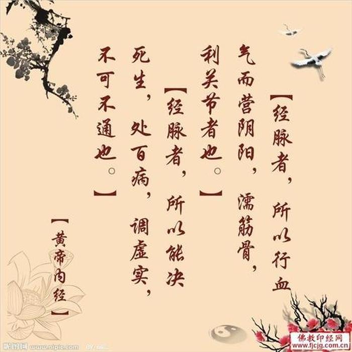 养生小知识每日一条人物图片；养生图片带字