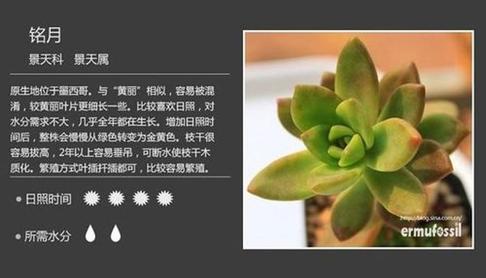 植物科普小知识视频；植物的科学视频