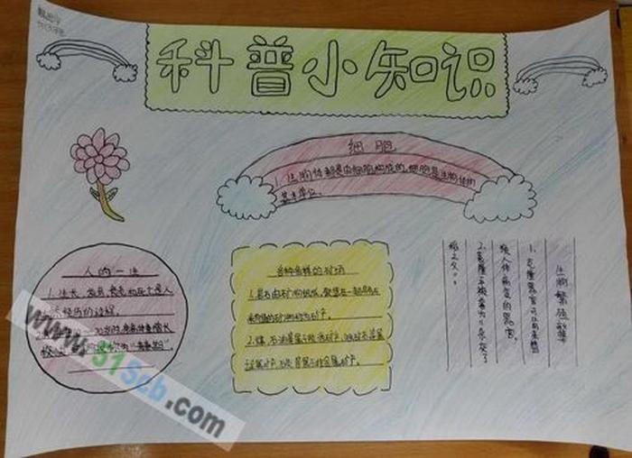 科学小知识400字左右怎么写，科学小报文字内容