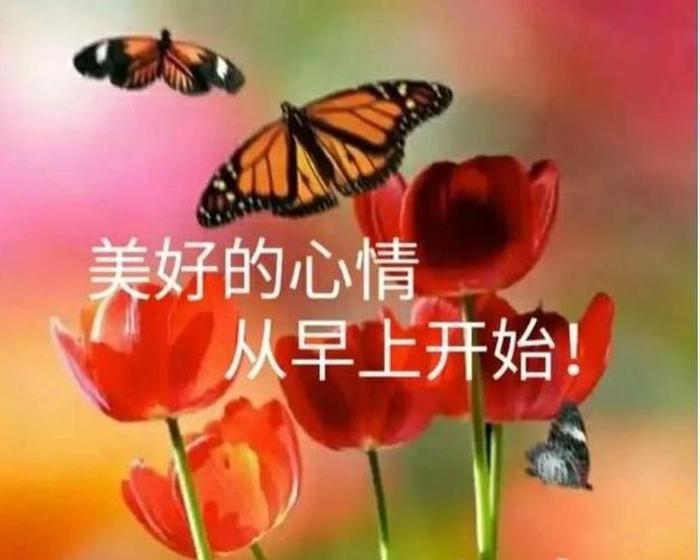 健生活康小知识 要健健康康