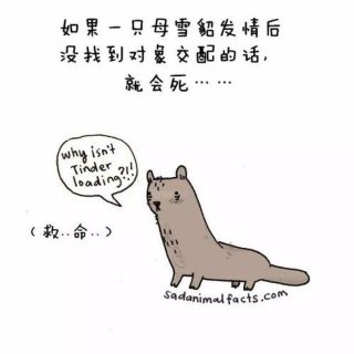 幽默的冷知识小故事 - 冷知识搞笑