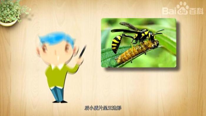 少儿百科知识大全视频；秒懂百科少儿小视频