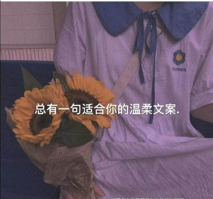 笑死人的小说文案、温柔文案