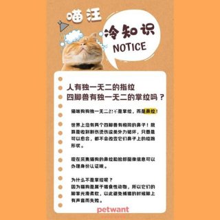 冷知识百科；冷知识指的是什么