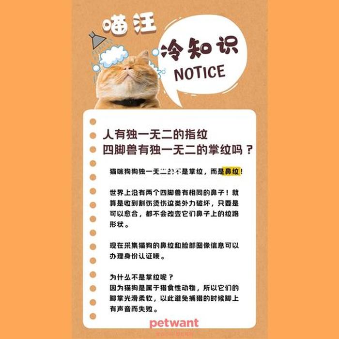冷知识百科；冷知识指的是什么