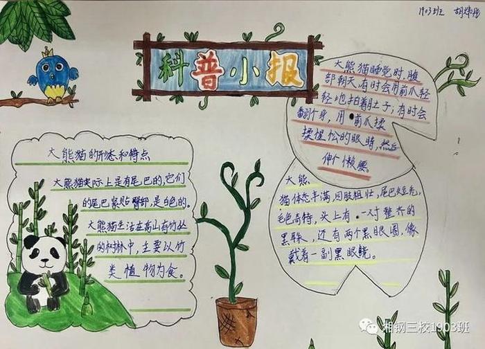 科技小知识大全免费、科普科技内容资料