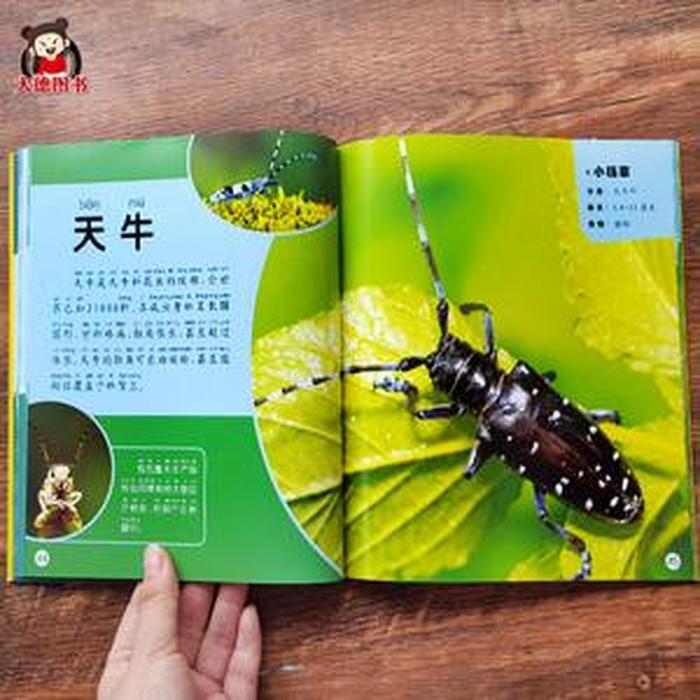 自然科普知识资料大全，少儿科普知识大全