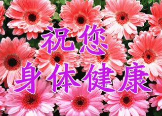 播放健康知识百科 播放今天的运势秒懂百科视频