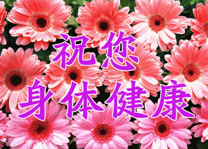 播放健康知识百科 播放今天的运势秒懂百科视频