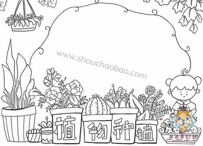 关于植物的科普小报；植物研究手抄报图片