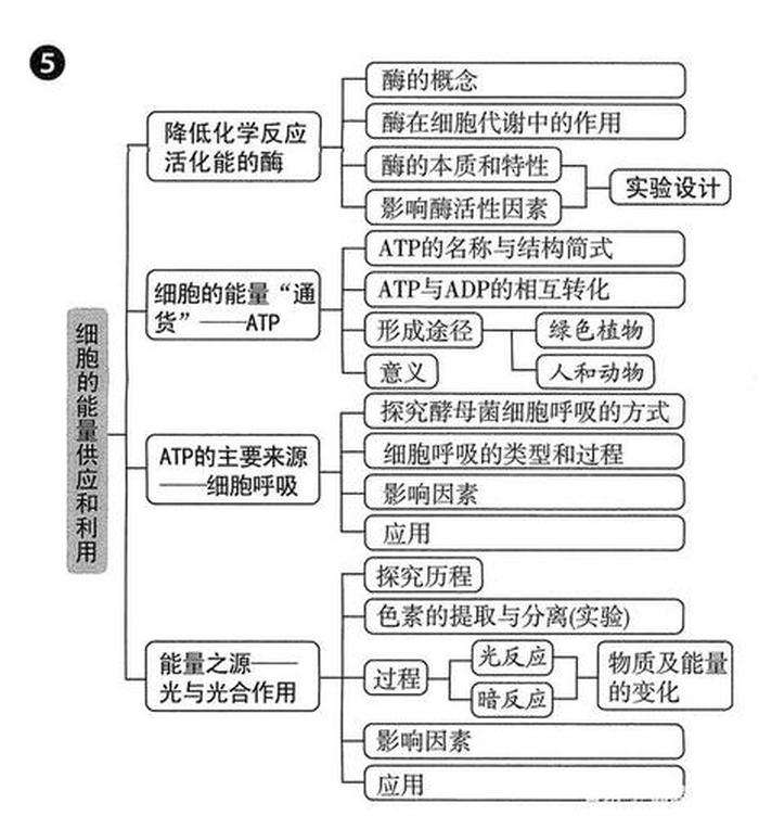 知识分为哪两大类 - 生物可以分为哪两大类