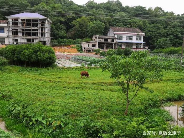 农村生活中的小窍门，在农村开游乐场小窍门