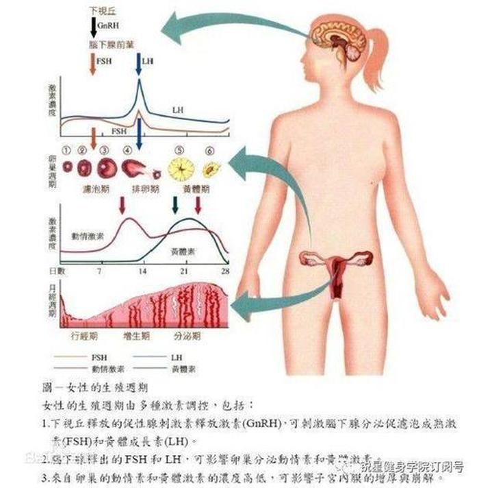 女性必知的6条生理健康知识 - 青少年必知的生理