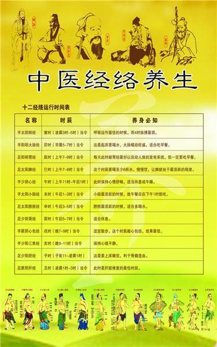 养生健康小知识经络，经络包括