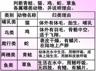 动物科学知识大全 动物的科学常识有哪些